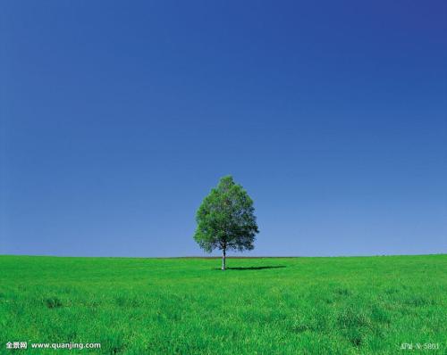 ӭͳ2500˴Ӵܻ˫