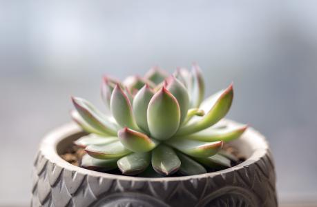 ҳܰ,ʦ͵͵ڿ ϸλǩЭ飿