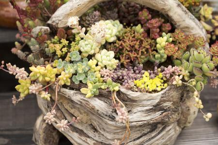 70¹ڷȷﲡ ۼƱ8610