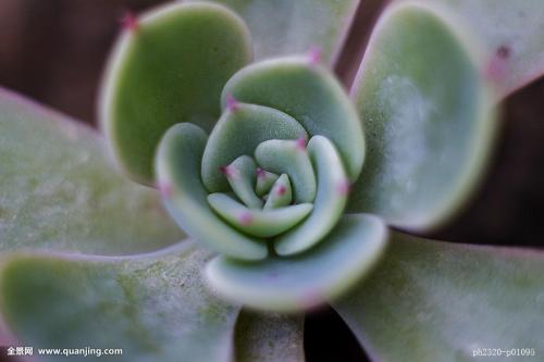 վƻش羳Ĳ 永ʽ4.4